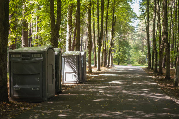 Best Tree Removal  in Canby, MN